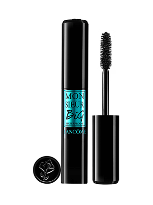 Immagine di MONSIEUR BIG MASCARA 01 WP