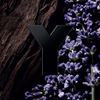 Yves Saint Laurent